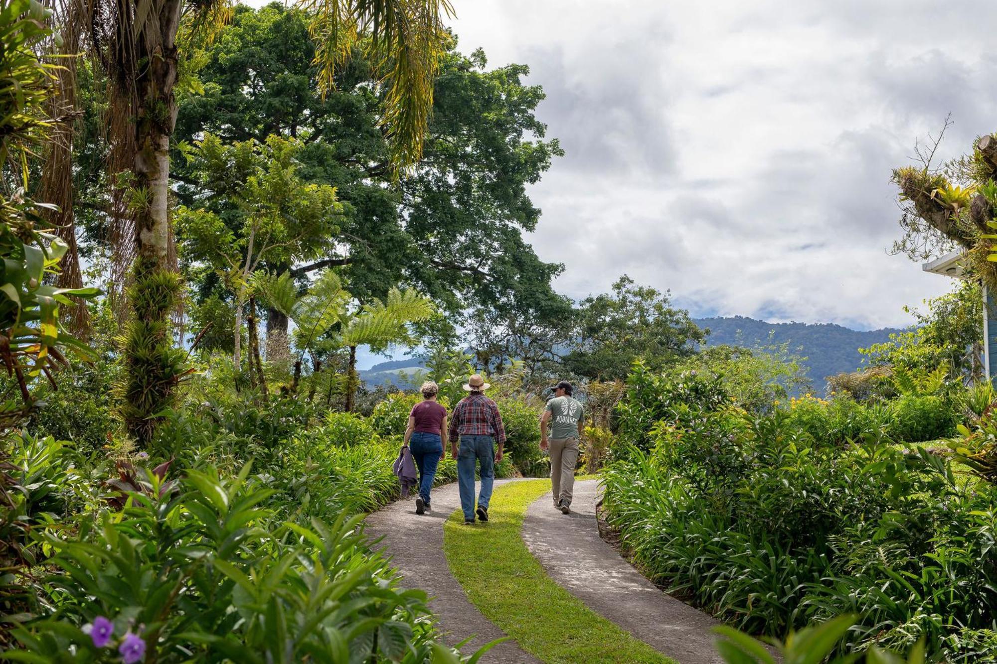 Aquiares Coffee Farm Casa Hacienda La Esperanza Bed & Breakfast Turrialba Exterior foto