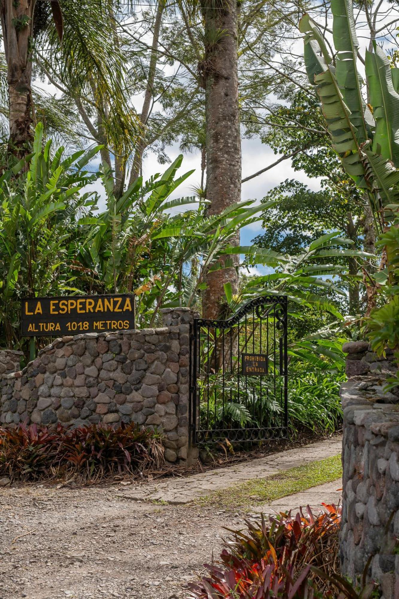 Aquiares Coffee Farm Casa Hacienda La Esperanza Bed & Breakfast Turrialba Exterior foto